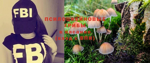 хмурый Волоколамск